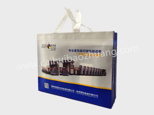 彩匯包裝 廠家定制無紡布手提袋 廣告宣傳袋